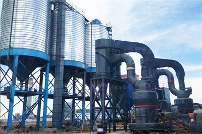 浙江客户参观我厂的环辊磨粉机磨粉机公司新闻白云石磨粉机 ...